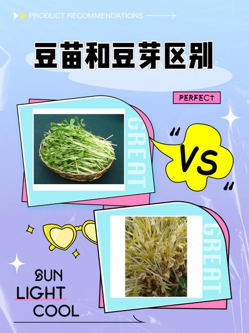 小豆苗怎么重新关联