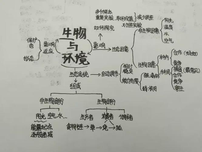 七年级上册生物思维导图 第一节缩略图