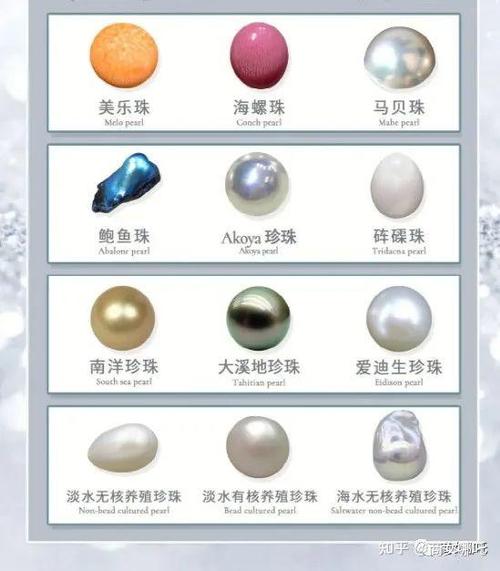 珍珠的品种大全图解图标