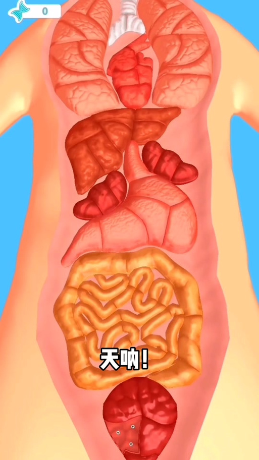 解压游戏清理身体器官