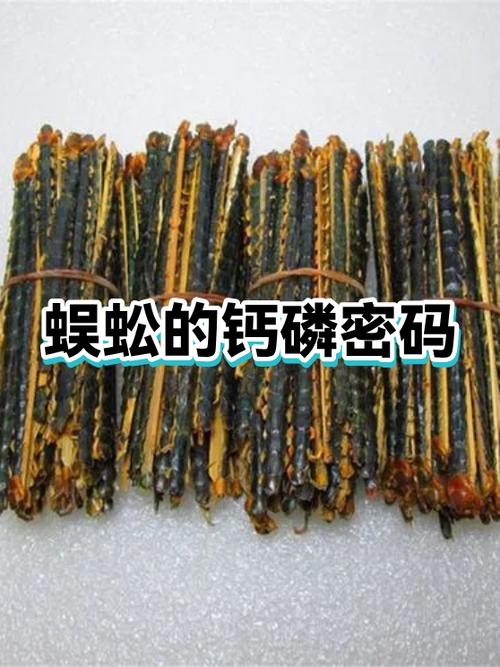 蜈蚣代表什么数字