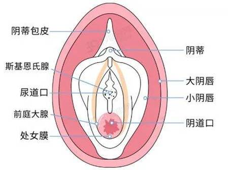 非处为什么不幸福