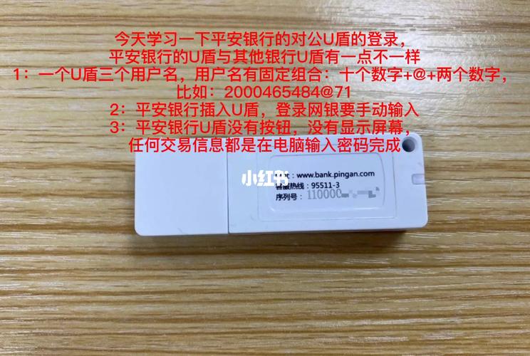 平安银行u盾办理需要什么条件