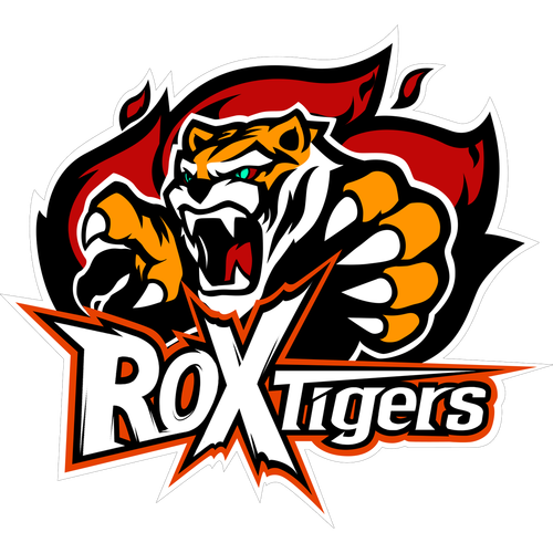 韩国战队ROX