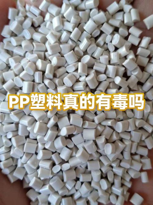 pp塑料味道很大有毒吗图标