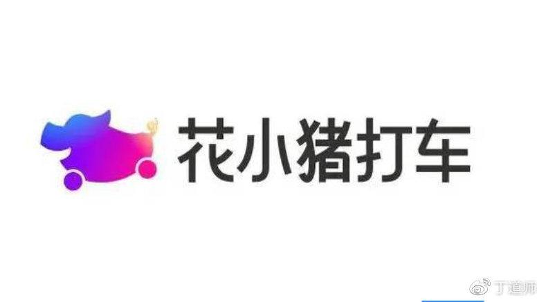 花小猪哪里的公司游戏截图