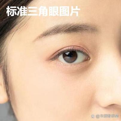 用照片找相貌相似的人缩略图