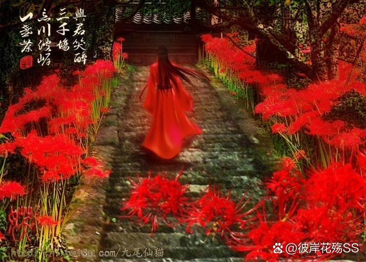 女人用彼岸花暗示什么