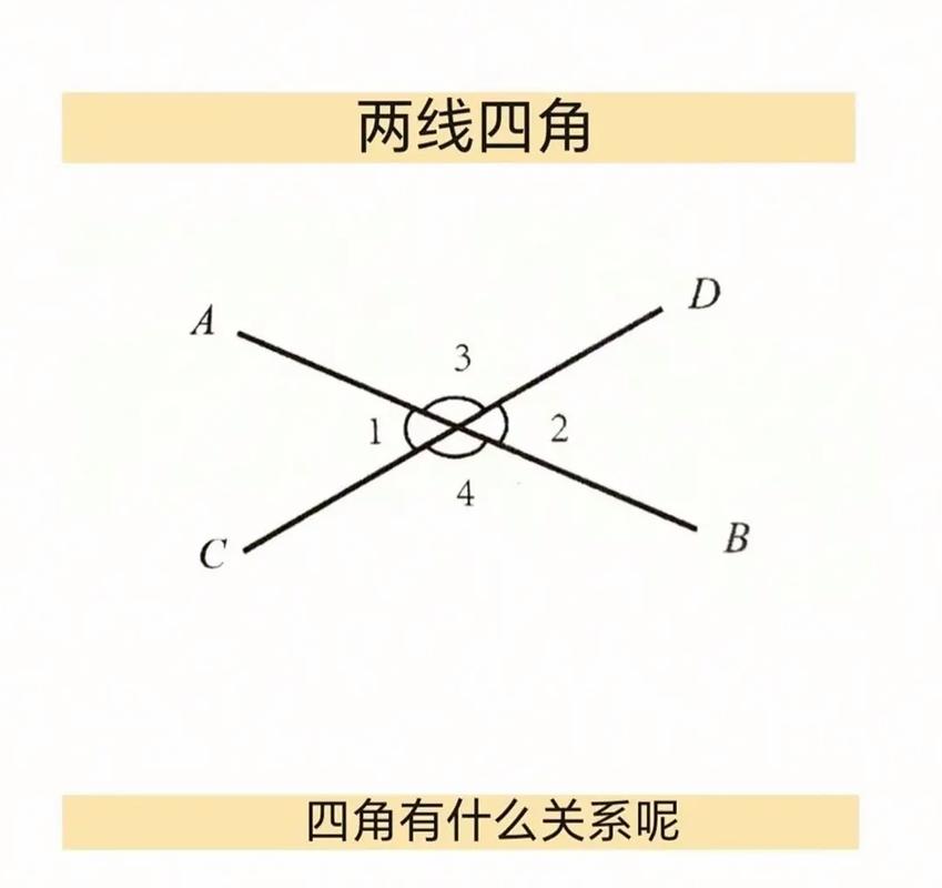 两条直线的交点叫什么