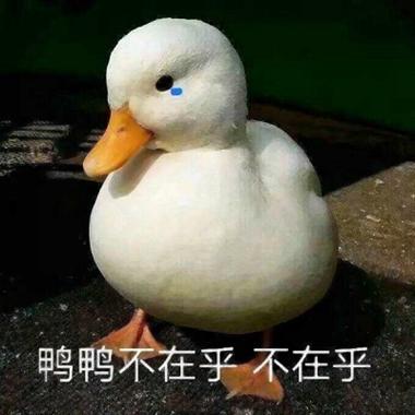 头像表情鸭官方下载