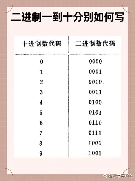 二进制在c语言中怎么表示