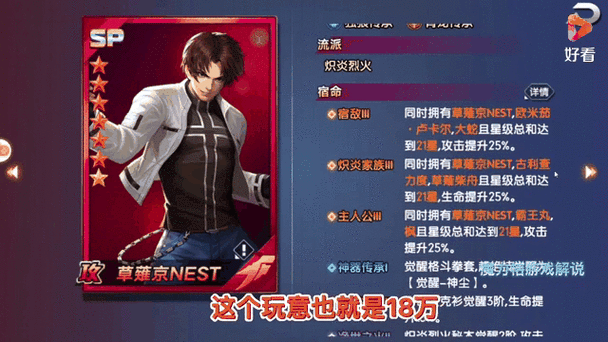 拳魂觉醒极限流是什么