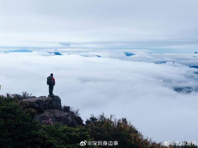 深圳有雾吗