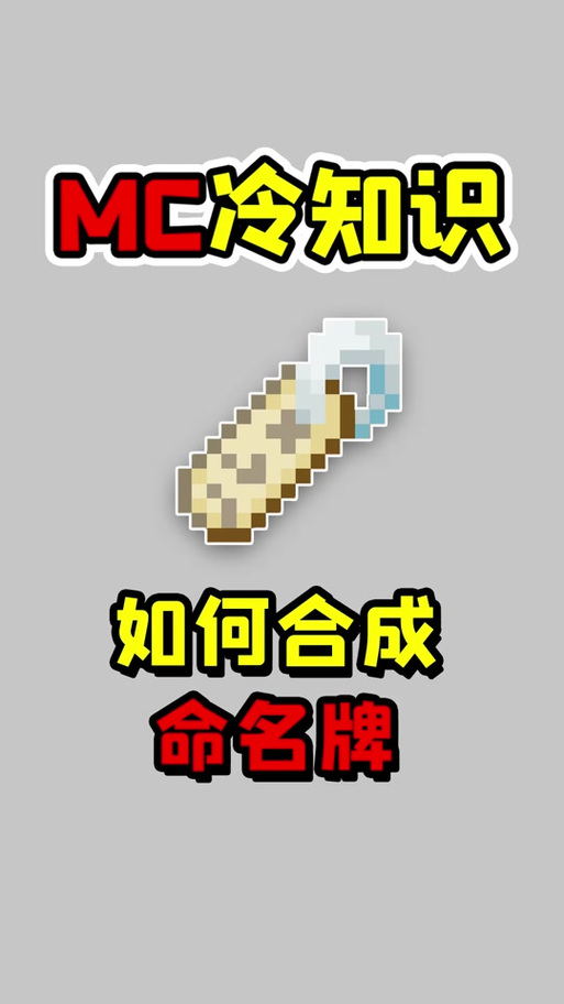 我的世界 命名牌