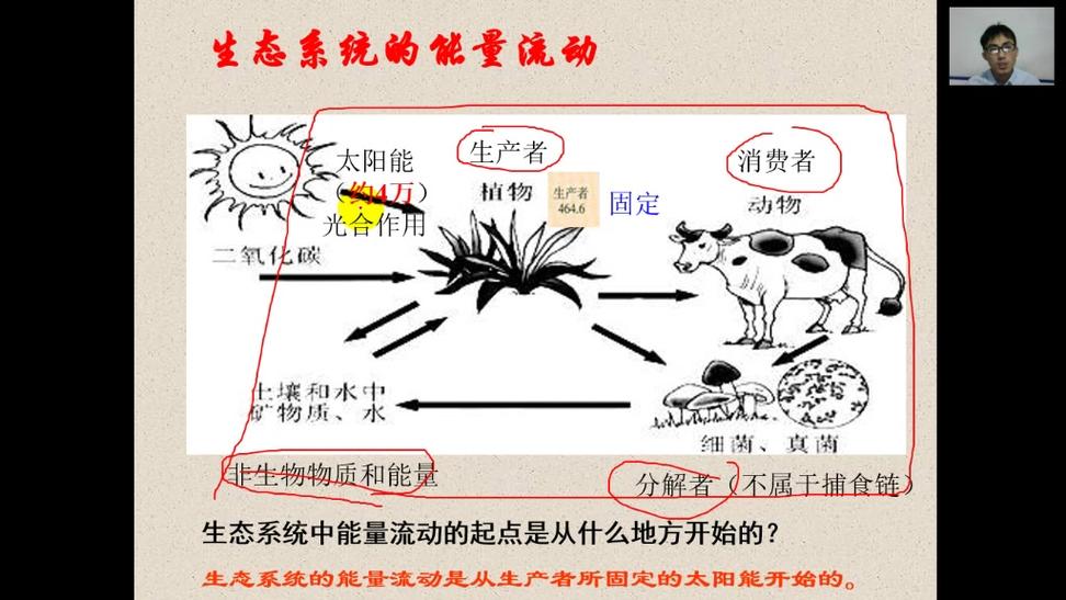 能量流动可不可循环