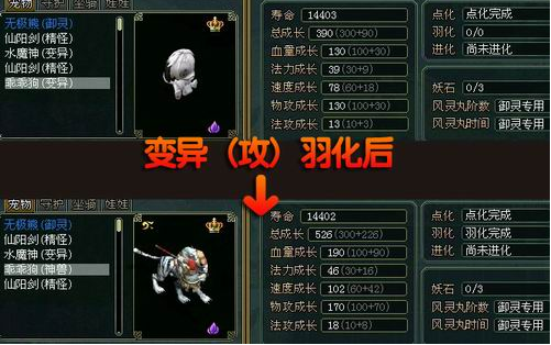 问道变异宠物怎么获得