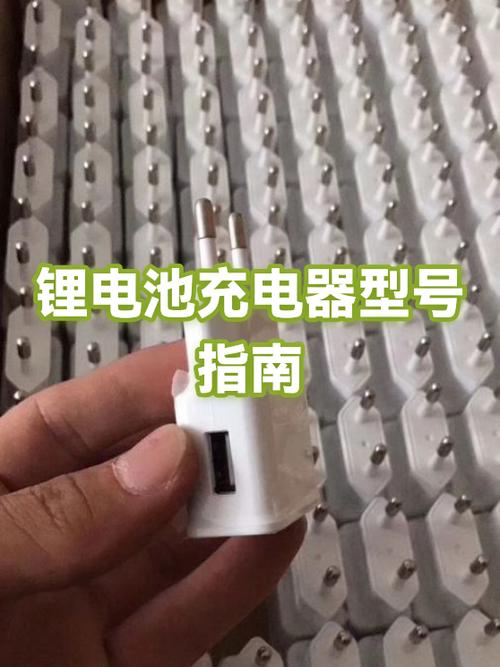 电动车锂电池充电器多少钱一个