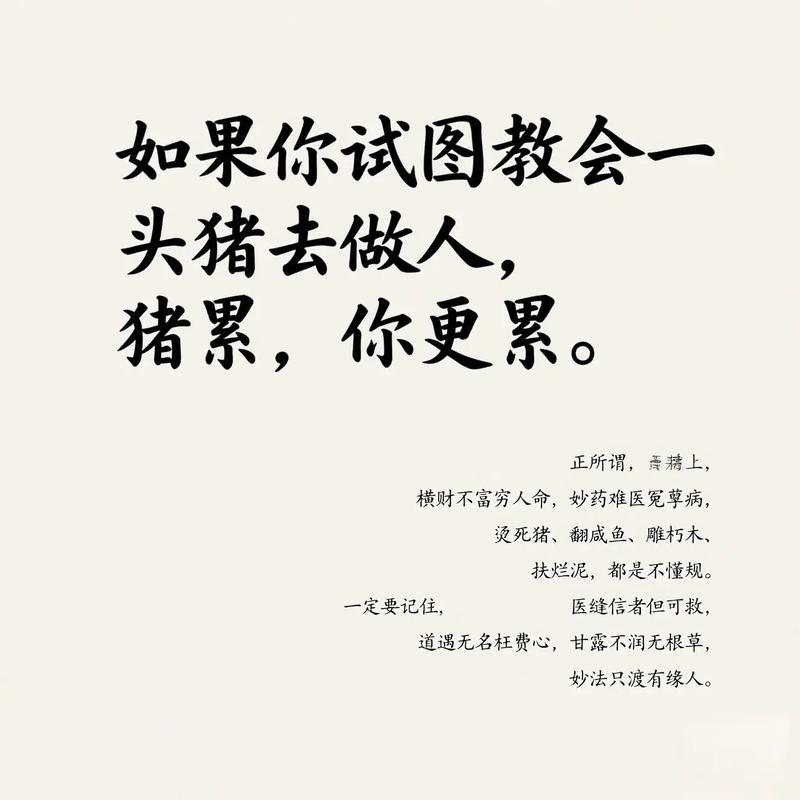 猪的金句