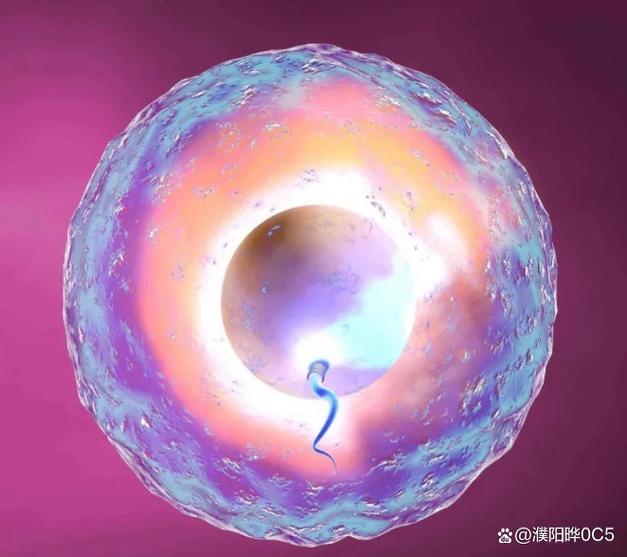 combine的名词截图