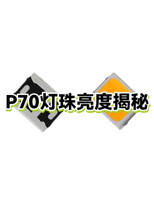 p70灯珠是最亮的吗游戏截图