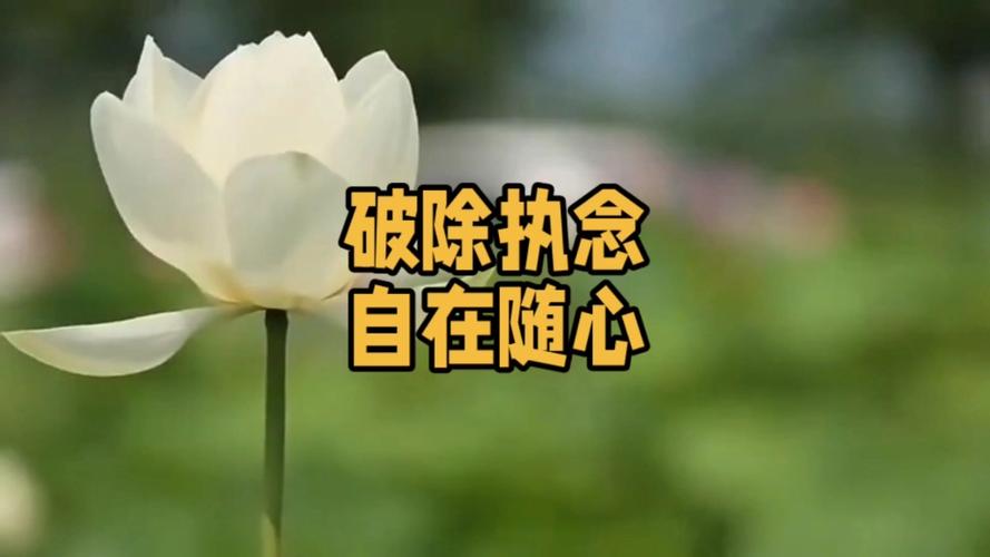 怎么样让电脑桌面图标随意放