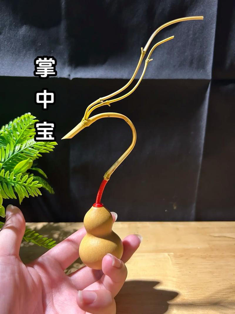 追觅牌手机