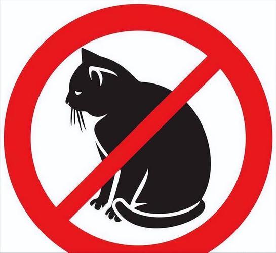 公猫晚上叫要警惕
