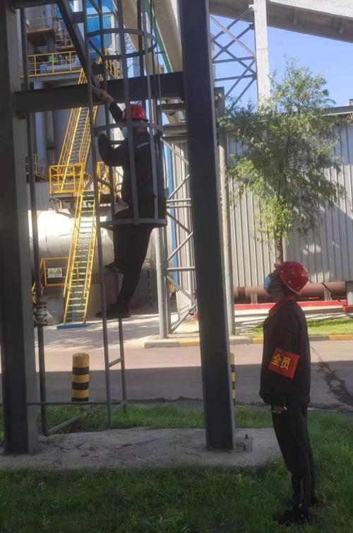 苹果录屏录完了找不到视频怎么办