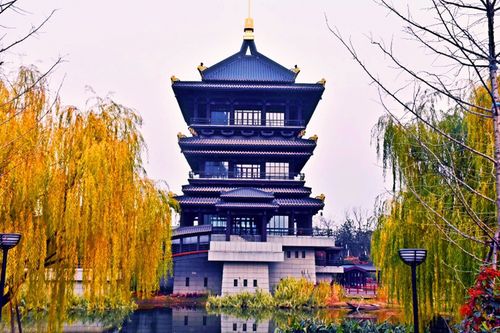 昕音阁