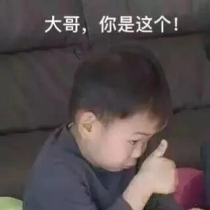 跟着老大走表情包可爱