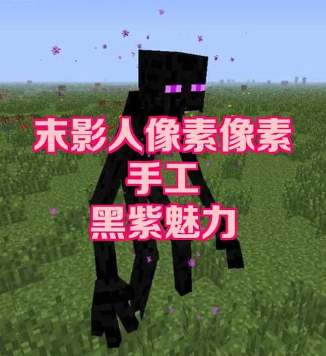 我的世界末影人盒子