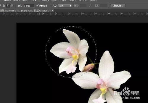 照片抠成圆形