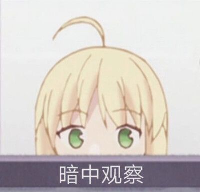 saber表情包