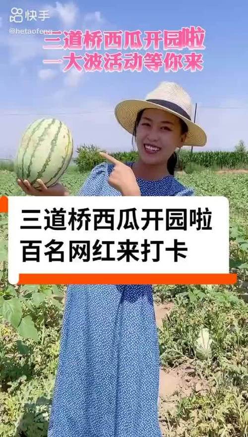 西瓜视频网红排名