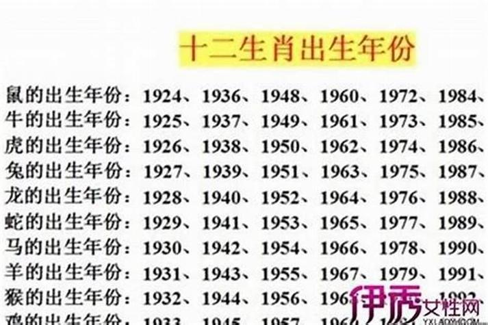 一几年是兔年