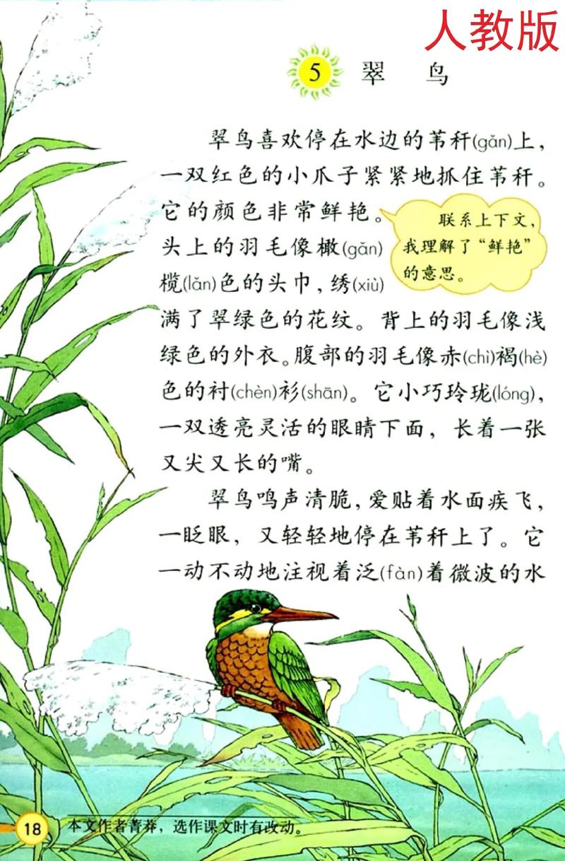 席慕容《翠鸟》