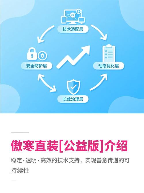 傲寒加速3.0直装
