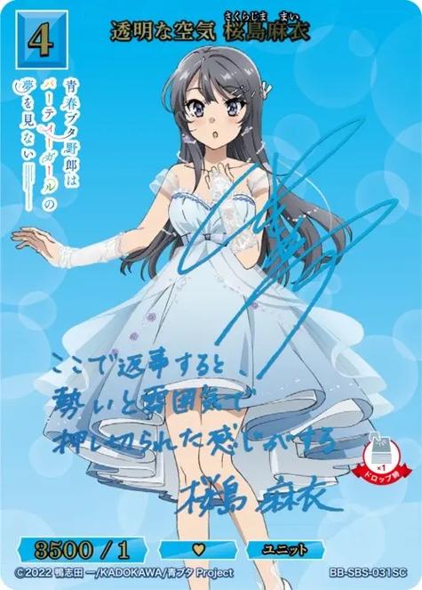 二次元bd是什么意思缩略图
