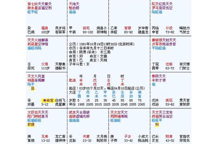 毛爷爷紫微斗数命盘