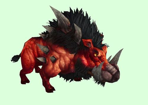 魔兽世界猎人带什么猪