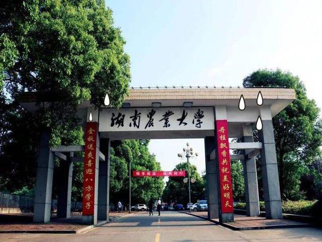 湖南农业大学研究生院截图