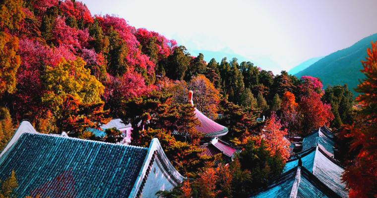 去潭柘寺的10大忌