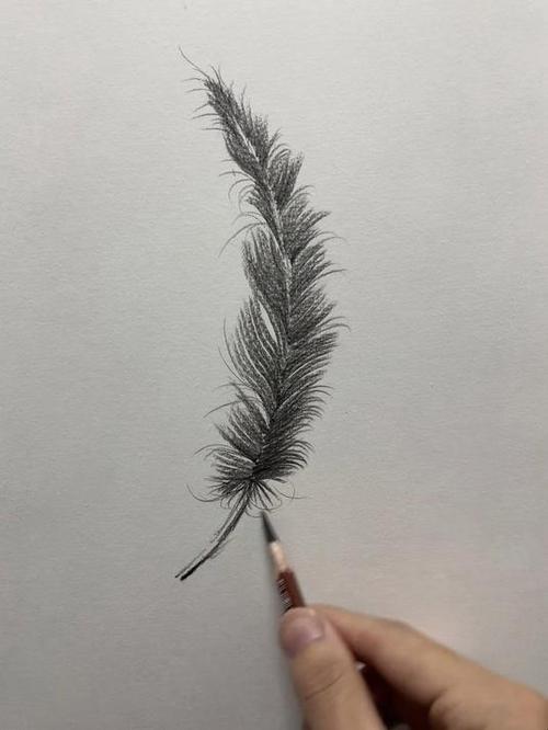 一二三年级画羽毛画