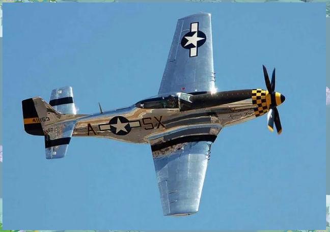 p51野马战斗机