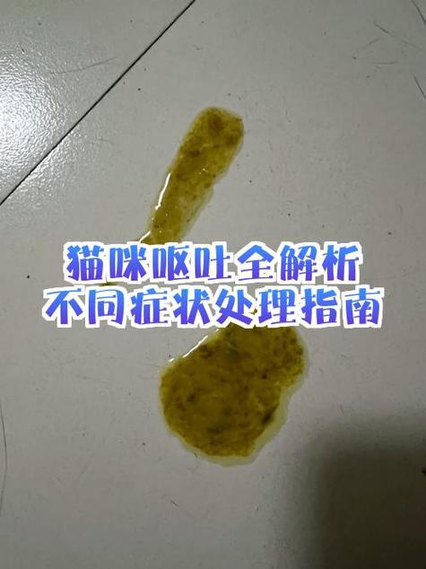 连续说话干呕咋回事