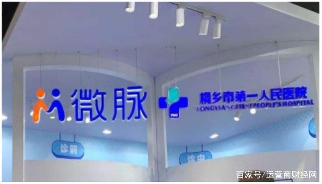 微脉是什么