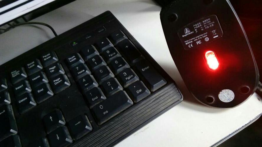 电脑鼠标亮键盘不亮显示屏也不亮