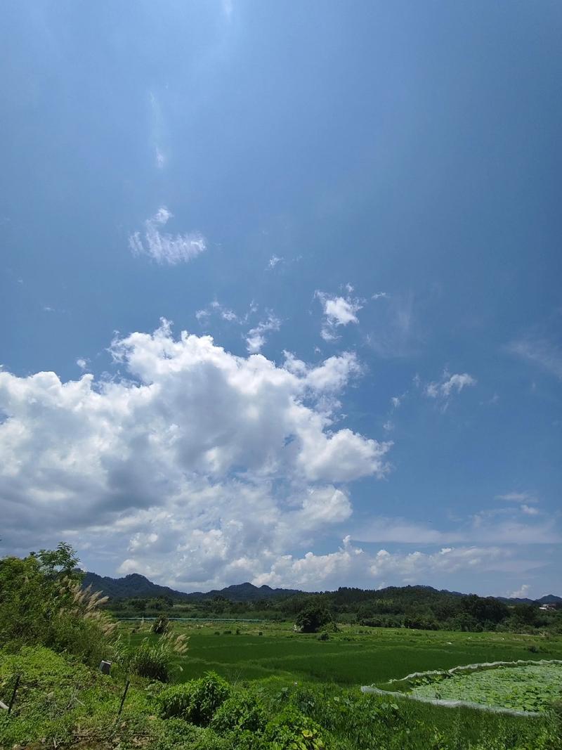 平安白云