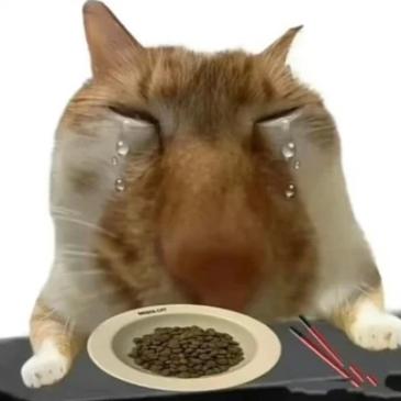 吃东西可爱表情包
