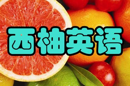 西柚英语安卓版截图